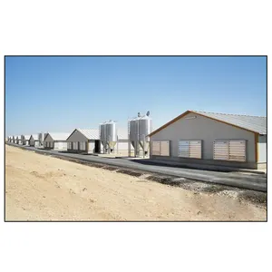 OEM steel structure farm broiler poultry shed construction cheap chicken broiler house design
