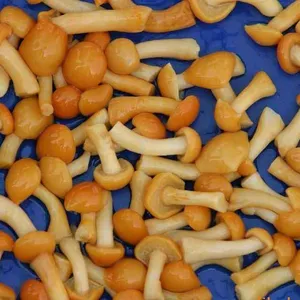 Harga terjangkau jamur beku organik IQF Nameko