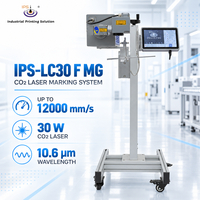 Machine de marquage laser à fibre MG IPS-LF30 30 Watts, vitesse de marquage 12000 mm/s