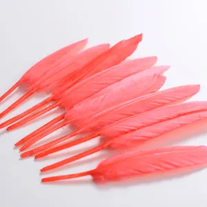 4-6 Inch 10-15 Cm 12pcs Per Pack Wholesale DIY Tip Gold Tipped Goose Feathers With Crimp Hat For Gifts Package