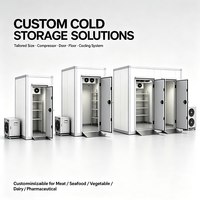 Freezer Walk-in -20 hingga -15C 120mm dengan Panel PU Terisolasi dan Pintu Anti-beku untuk Pabrik Makanan Beku Cepat