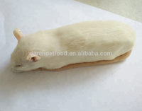 400g + Tikus Jumbo Beku untuk Ular Peliharaan Spesies Python Lebih Besar dan Predator Besar Peternakan Harga Ekonomis