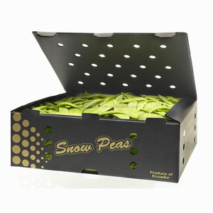 PP Nhựa Sóng Có Thể Gập Lại Khoai Tây Bao Bì Cà Chua Bông Cải Xanh Hộp Lưu Trữ Rau Polypropylene Corflute Container Nhựa - Product Image 6