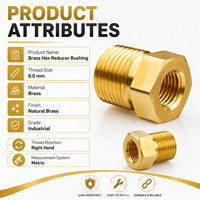 Adaptateur hexagonal mâle-femelle en laiton, raccord réducteur fileté 6 mm, connecteur fileté interne/externe pour systèmes de plomberie air/eau/gaz