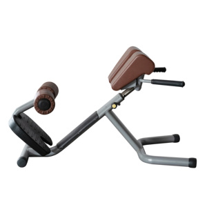 Bán Hot Máy Tập Thể Dục/Thiết Bị Tập Thể Dục Dưới Lưng Băng Ghế Dự Bị - Product Image 3