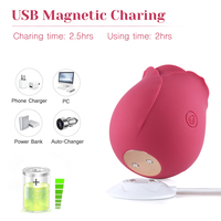 Vibrateur clitoridien en silicone étanche Haslove en forme de rose pour femme, 10 modes de succion, 60 dB de bruit, chargement USB magnétique – Nouveauté très demandée
