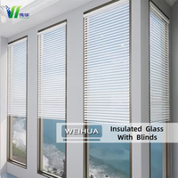 Vidrio Dgu con Paneles de Vidrio Aislante al Vacío Templado Ciego, Precio