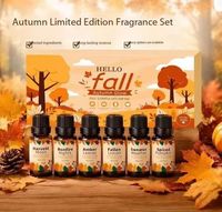 Ensemble d'huiles essentielles d'aromathérapie d'automne 6x10ml, huiles parfumées, coffret cadeau pour diffuseur de spa à domicile