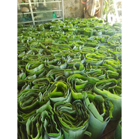 Feuilles de bananier vertes fraîches 100% naturelles, coupées, pour l'emballage alimentaire et la cuisson à la vapeur, Dong Nai-Vietnam EXO