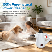 Nettoyeur vapeur en aluminium sans produits chimiques avec une puissance de 900-1050 W, autonomie de 10-12 minutes pour le nettoyage multi-surfaces