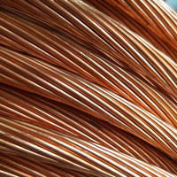 Fil de cuivre toronné nu à haute conductivité, matière première C11000 C10100 16mm² 35mm² 25mm² 50mm²