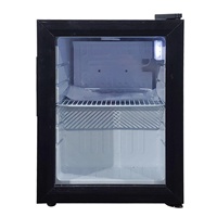 Mini-réfrigérateur-congélateur noir en verre 21L pour vente en gros