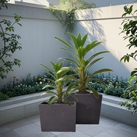 Lot de 2 pots de fleurs en fibre d'argile de forme carrée pour l'intérieur et l'extérieur, jardinière noire pour la décoration de jardin