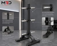 Support vertical pour plaques de poids MRD B1054, solution de rangement pour plaques de poids, gain de place, pour salle de sport
