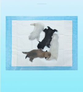 Tapis d'apprentissage de la propreté pour chiens et chats, 6 couches, très absorbant, séchage rapide, épais, bleu, grande taille, antidérapant - Product Image 2