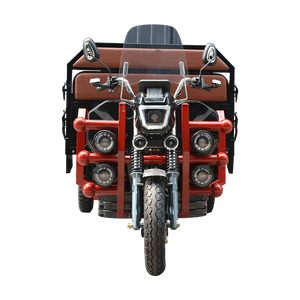 2025 Mô Hình Mới 600W 1000W 3 Bánh Xe Khung Thép 60V Xe Đạp Vận Chuyển Hành Khách 48V Điện Áp Điện Ba Bánh - Product Image 1