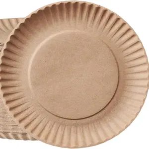 9 Inch Disposable Kraft Plates Decorative Craft Paper Plates