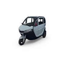 Scooter électrique à trois roues entièrement fermé EEC COC 1000W+ pour 2 passagers