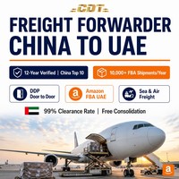Agent maritime de la Chine vers l'Allemagne pour le fret maritime FBA DDP, dédouanement et livraison porte-à-porte