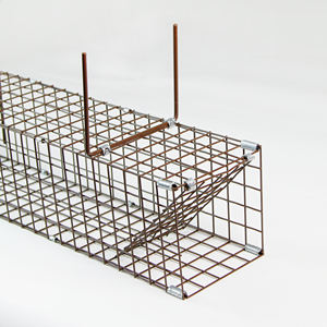 Gabbia di animali vivi pieghevoli e umani trappola per gabbia senza uccidere che intrappola conigli scoiattolo gabbie trappola per topi - Product Image 5