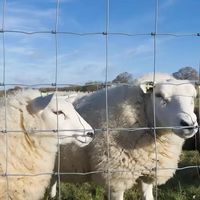 Grillage de clôture pour bétail de haute qualité, galvanisé, résistant à la rouille, pour poulailler, jardin, ferme, protection des enclos pour animaux