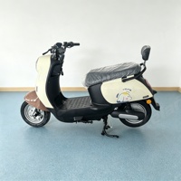 Scooter électrique rétro de fabrication chinoise, cyclomoteur électrique 1000W, moto électrique OEM, cyclomoteur électrique