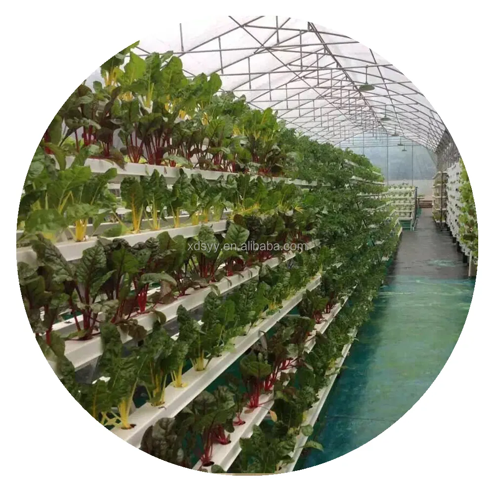 Nuovo Prodotto: coltura idroponica Coltivazione per Lavello Forma Verdure Fioriera Utilizzato con il Fiore/Pianta verde di Plastica Bianco 10 Set Piano
