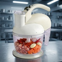 Robot culinaire multifonction 300W FP-16017 2L, hachoir à légumes électrique, coupe-légumes, hachoir à viande, bol en verre, pour la maison