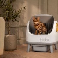 Bac à litière intelligent entièrement automatique pour chat, grande capacité 60L, bac à déchets 12L, nettoyage facile, démontage facile, conception silencieuse à ouverture facile