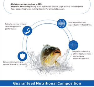 PeptiMineral Boost Y501 Prémélange pour poissons, Stimulateur de croissance pour poissons, Additif alimentaire pour animaux, Prémélange alimentaire pour poissons-chats et tilapias, Stimulateur de croissance - Product Image 4