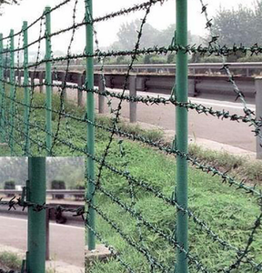 Rollo de Alambre de Púas de Alta Calidad de China, Cerca de Alambre de Púas de 100m 500m, Buen Precio, Cuerda de Cuchillas - Product Image 3