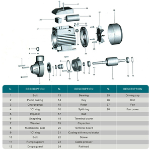 <span class=keywords><strong>KF</strong></span> loạt điện ly tâm một pha máy bơm nước gang cho các ứng dụng gia công - Product Image 3