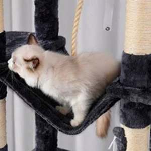 Arbre à chat à plusieurs niveaux pour chats d'intérieur 2 perchoirs en peluche élargis planche à gratter pour chats en matériau sisal grandes grottes - Product Image 3