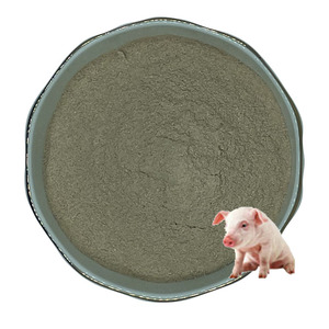 Tôm Probiotic tinh khiết bacillus subtilis Probiotic bacillus subtilis - Product Image 2