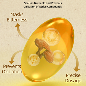 جودة عالية العضوية Ganoderma لوسيدوم جراثيم زيت سوفتجيل ريشي استخراج بذور عالية Triterpene البروتين الغنية استخراج - Product Image 4