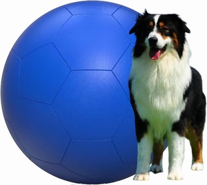 Látigos de entrenamiento de caballos, pelota de pastoreo antiráfaga para caballos y perros, juguete perfecto para ejercicio y diversión - Product Image 2