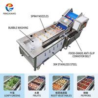 Fruitwas- en sapextractielijn 2-5T/H Mango Appel Ananas Sinaasappel Belletjesreinigings- en pulpmachine voor industrieel gebruik