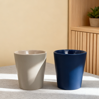 Tasse en céramique moderne écologique de qualité supérieure sans poignée 300 ml Boîte cadeau pour le bureau d'un ami
