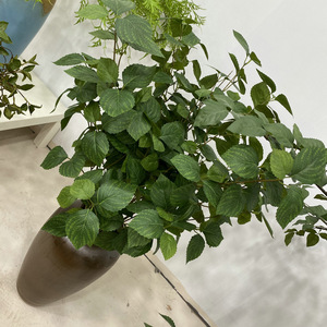 Usine de fleurs artisanales Yulong, feuilles de patate douce artificielles, lianes de 55 cm, vertes, décoration de mariage, plantes d'intérieur - Product Image 3