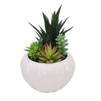 Plantes artificielles en plastique pour la vente directe en usine, plus réalistes, décoration d'intérieur, plante de bureau, simulation de plante verte, NOUVELLES ARRIVÉES