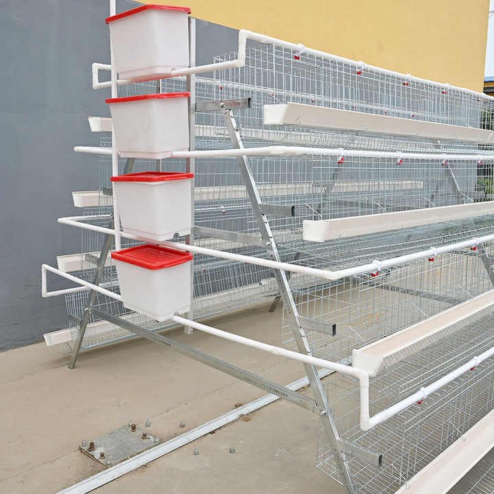 New A-Type Chicken Battery Cages for Farming Egg System Layer Farm ...
