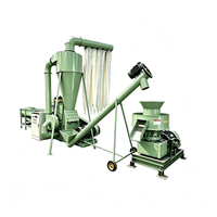 Ligne de production de granulés de biomasse de petite taille 1t/h avec broyeur à marteaux 600 et presse à granulés 450, usine de granulés de sciure de bois 92kW