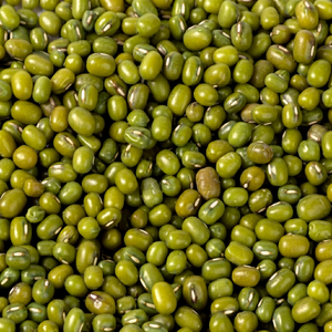 New Season Fresh Indian <b>Green</b> Moong <b>Beans</b> Premium Whole Pulses FitTree International Brand 24 Months Shelf Life Bulk Packaging - Product Image 1