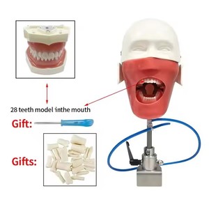 Formazione dentale Phantom Head modello simulatore dentale manichino con i denti per l'insegnamento pratica studio odontoiatria unità di apparecchiature - Product Image 4