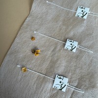 Bester Preis Großhandel 25g PLA Vlies Leerer Teebeutel Material rollen Hochwertige Verpackungs-und Druck produkte
