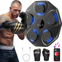 Cible murale de boxe connectée SPORTVUE de haute qualité avec musique, pour entraînement à domicile, avec éclairage, durable et écologique