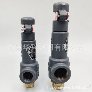 Válvula de Seguridad de Microapertura Huaxing A27W-16T DN20, Válvula de Alivio de Presión de Gas para Aire a Temperatura Normal - Product Image 3