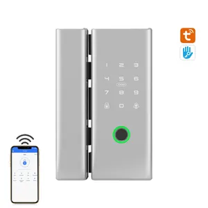 Cerradura de puerta de vidrio inteligente con huella dactilar electrónica de inteligencia de uso fácil gratis con pantalla