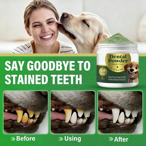 Poudre Probiotique Nettoyante pour les Dents de Chiots et de Chats, Saveur Menthe, Soutien Immunitaire, Rafraîchisseur d'Haleine pour Chiens et Oiseaux (OEM/ODM) - Product Image 2