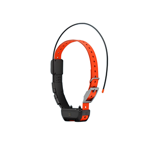 Wireless Dog <b>Fence</b> Shock GPS with App Remote Stim Configuration + Trainer Collaboration Portal - Reseller SDK Available - Product Image 1